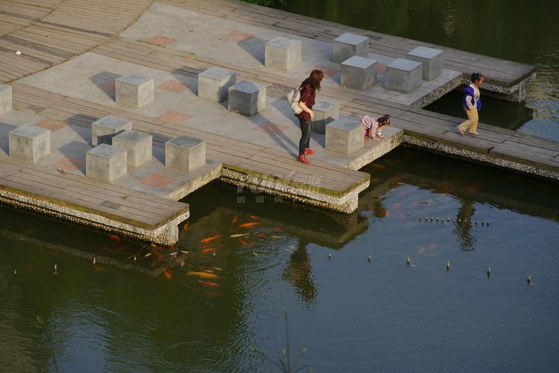 实景图