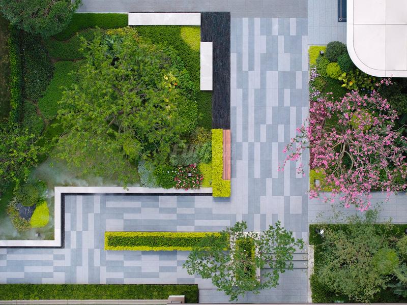 实景图
