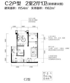 蓝光COCO蜜城2室2厅1卫54.00平户型