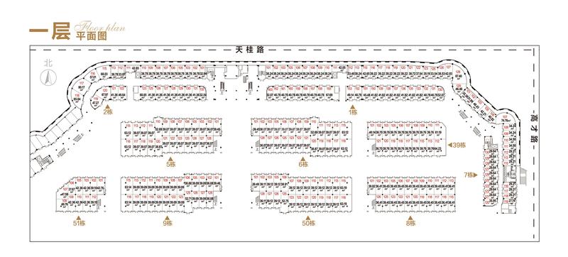 一层平面