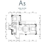 A3