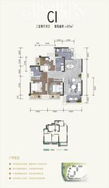 C1（名邸2期5-6栋）