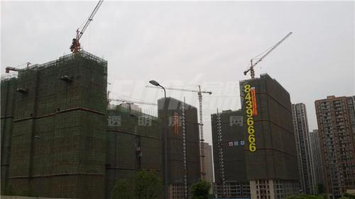 御园实景图