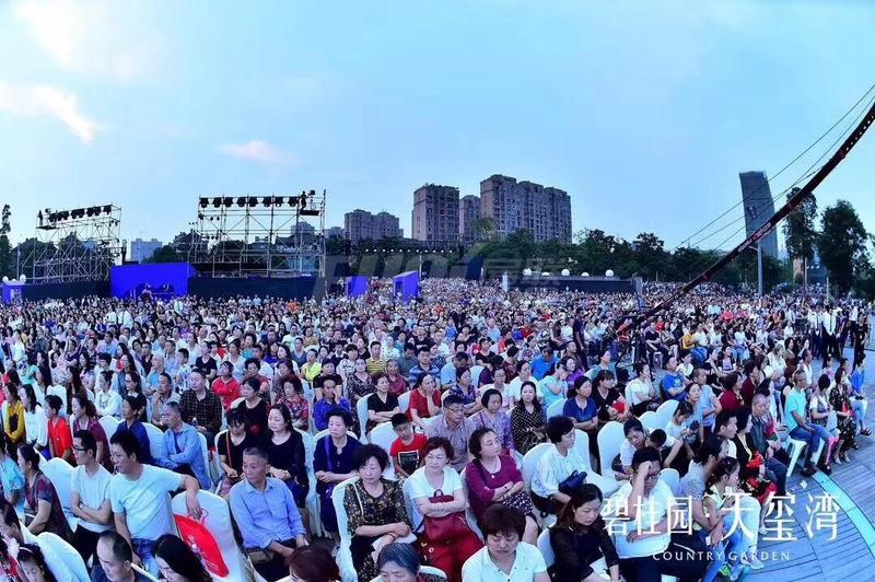 项目发布会活动