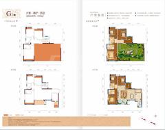 富豪三里花城1期6室2厅4卫186.00平户型