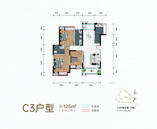 C3