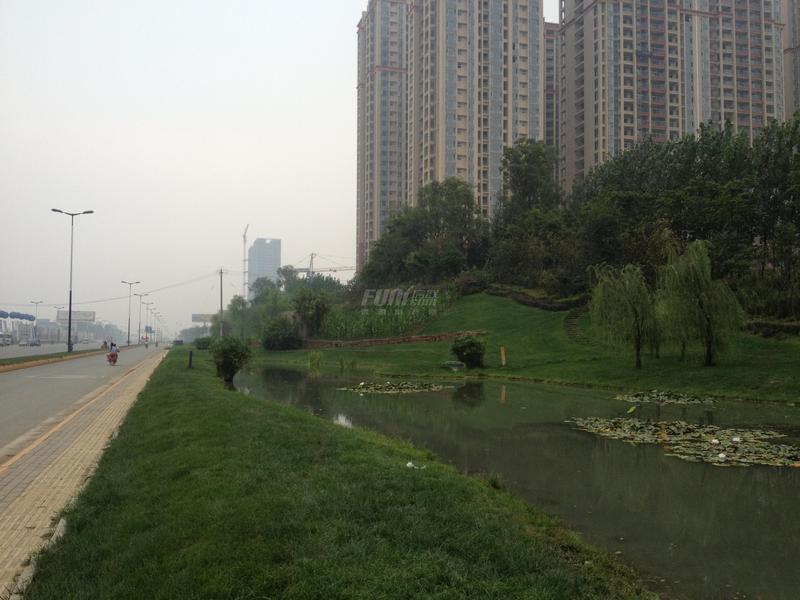 实景图