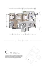 C1