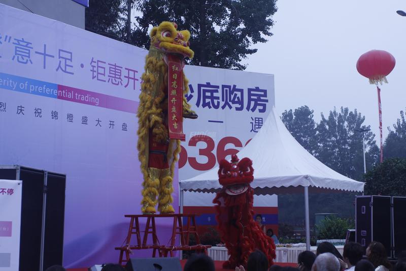 开盘盛况