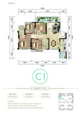 C1