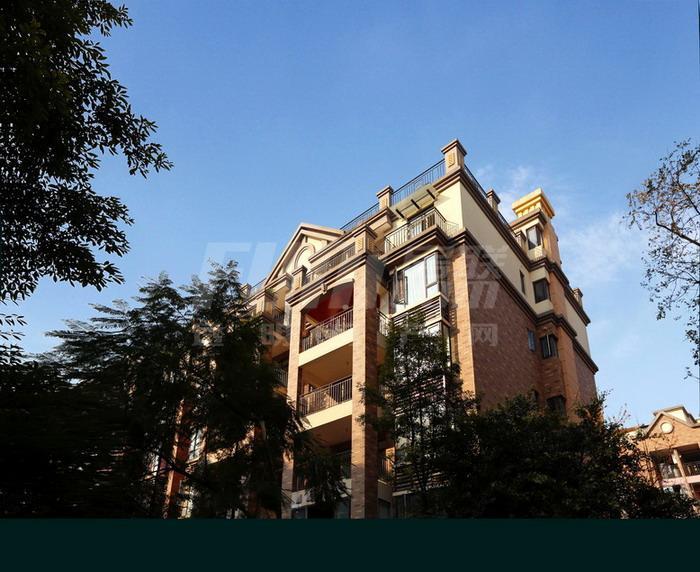 上林西江国际社区实景图