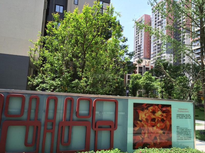 香格里拉的春天