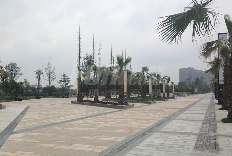 实景图
