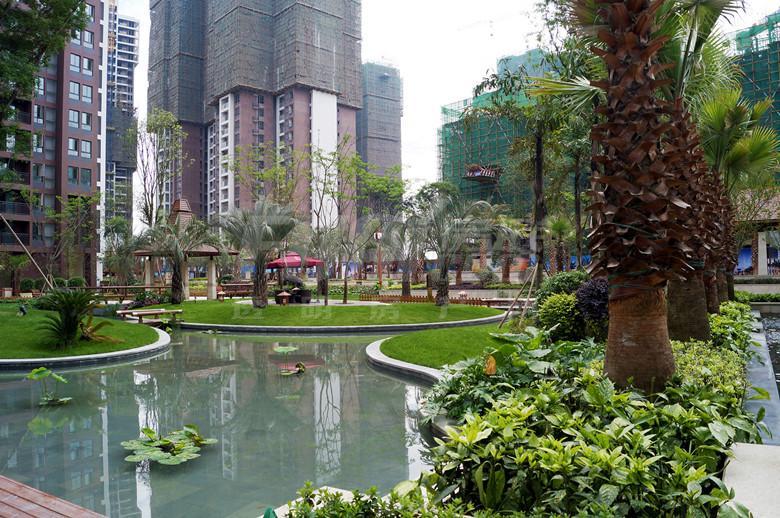 实景图