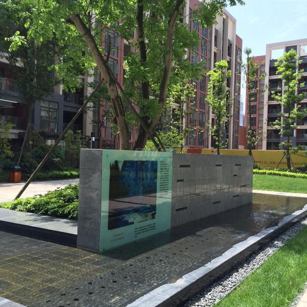 那不勒斯之树与无患子