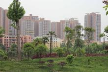 天邑宏御花园实景图