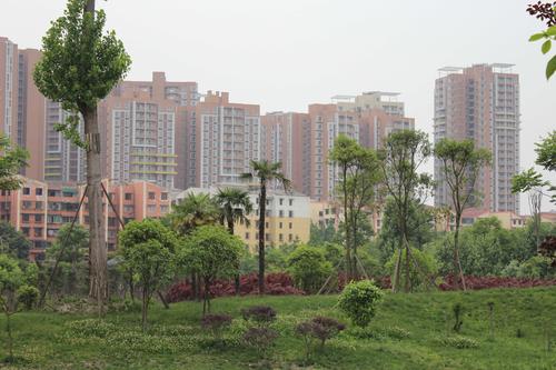 天邑宏御花园实景图