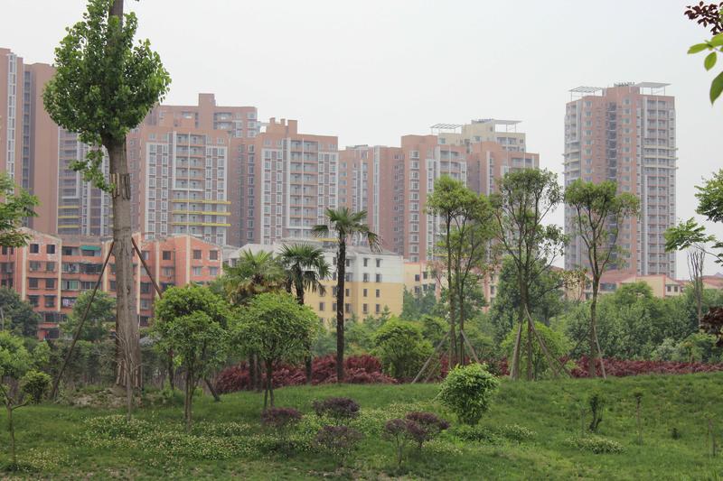实景图
