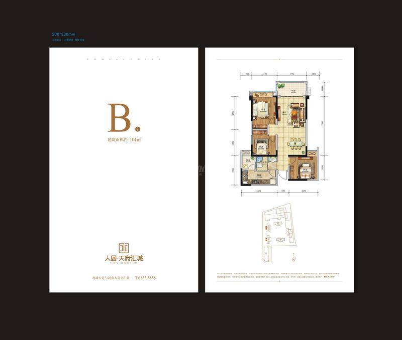 B1