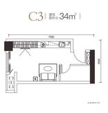 C3