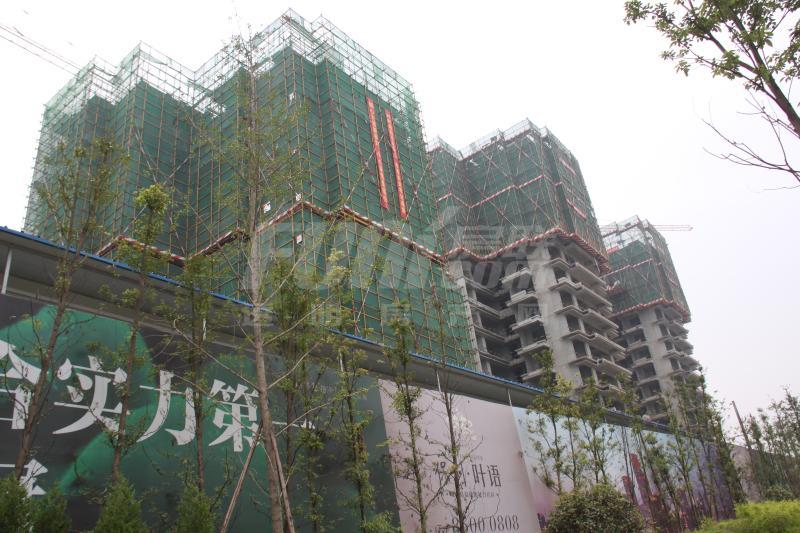 工程进度