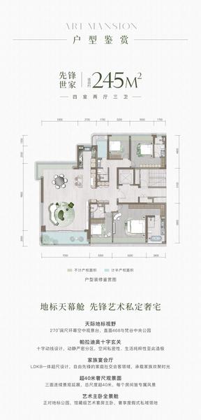 245户型图