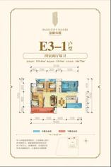 E3-1