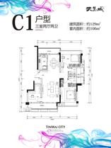 C1.
