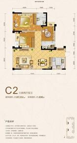 C2