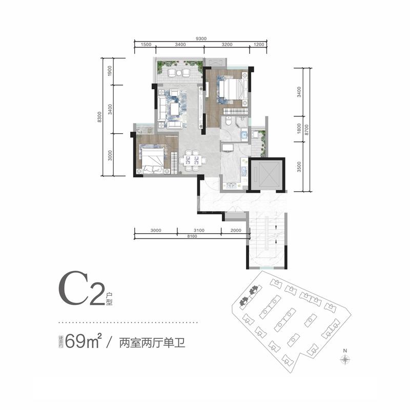 C2