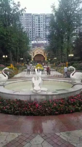 实景图
