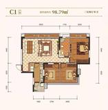 C1