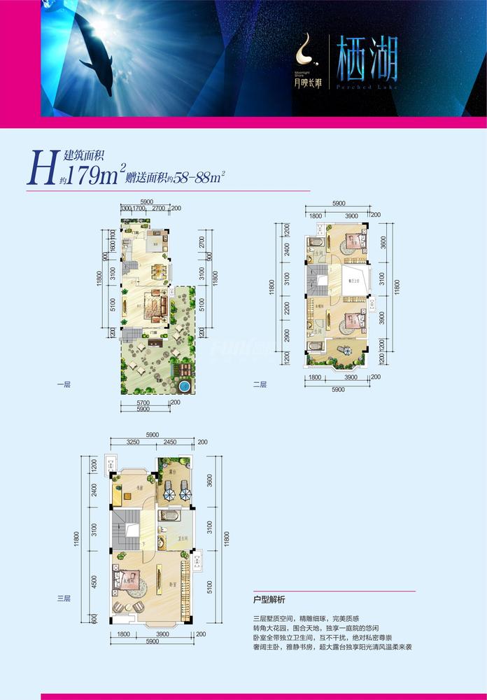联排H户型图