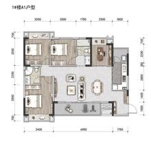 楠庭（棠湖楠庭）1期3室2厅2卫118.00平户型