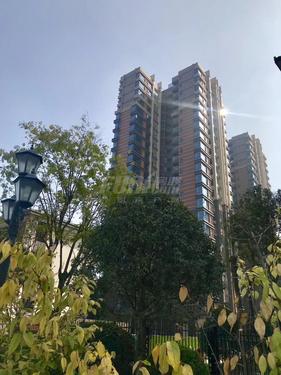 铂悦郡1期实景图