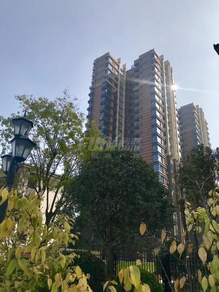 实景图