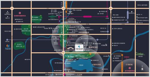 天府保税商业中心1期区位图