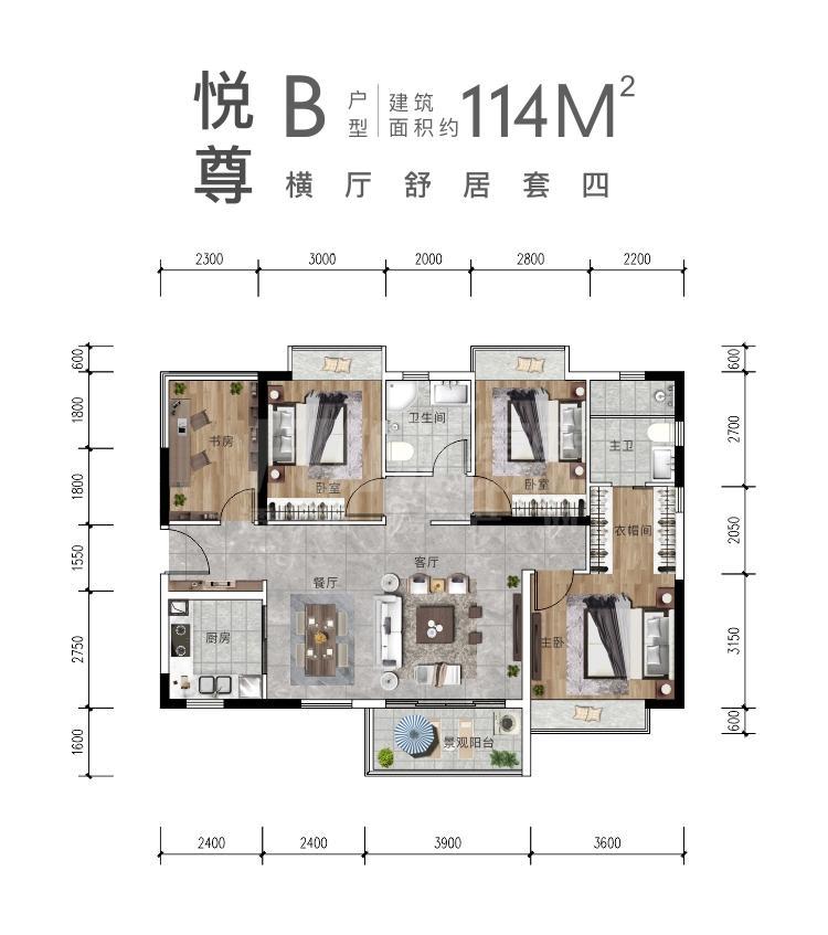B户型