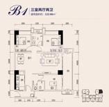 B1户型