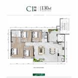 C1