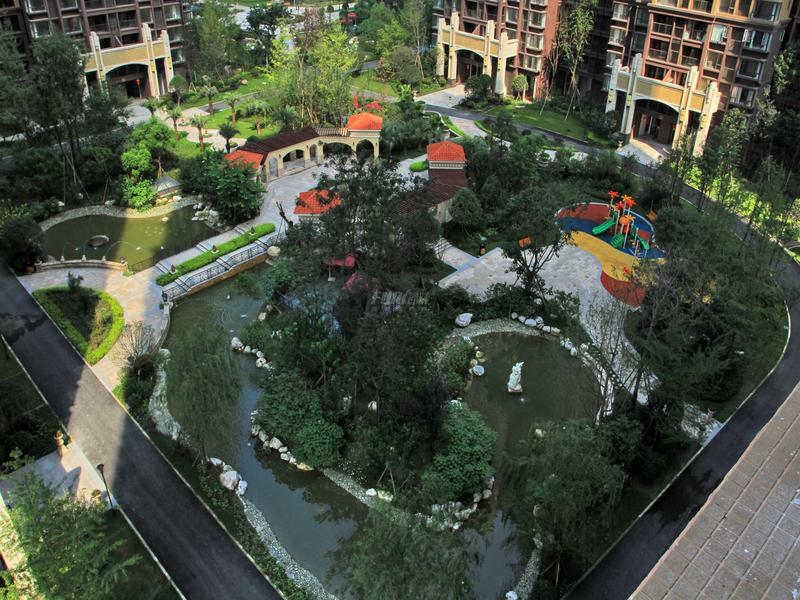 实景图
