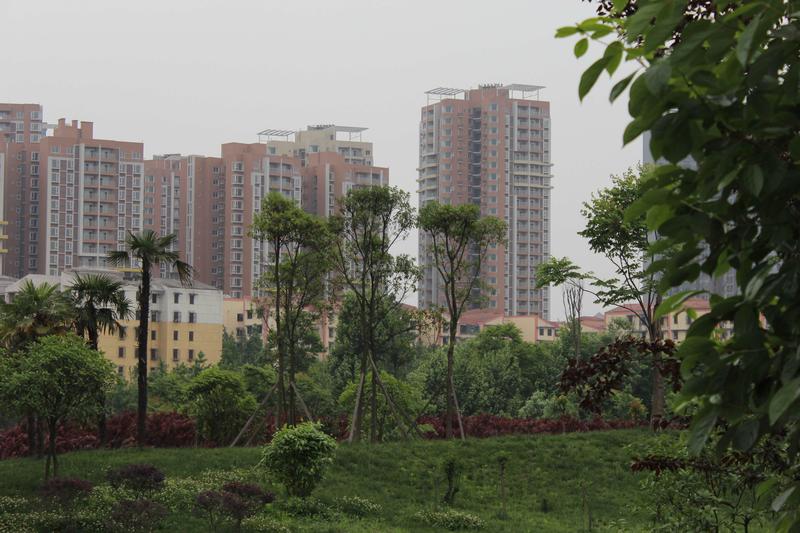 实景图