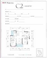 C2