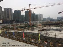 万科城3期（臻园）实景图