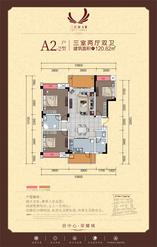A2-2户型平层