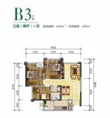 B3