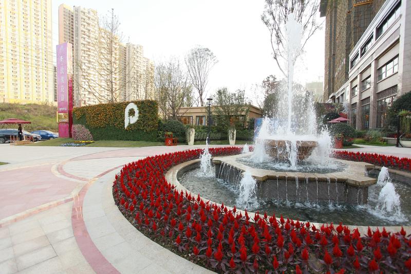 实景图