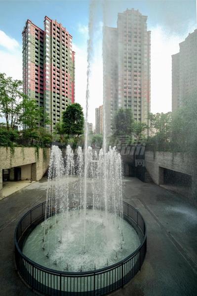 项目实景图