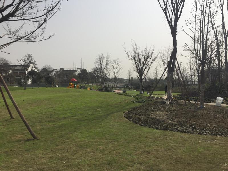 项目实景图