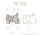 C2